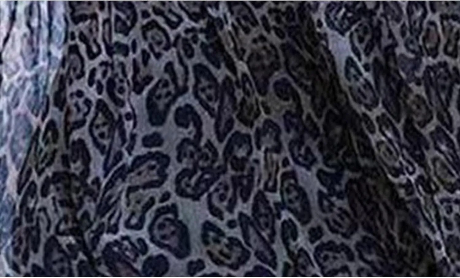 Women's Maxi Dress Spaghetti Strap Sleeveless V Neck Dress Leopard Printed Elegant Dresses Cocktail Party Dresses